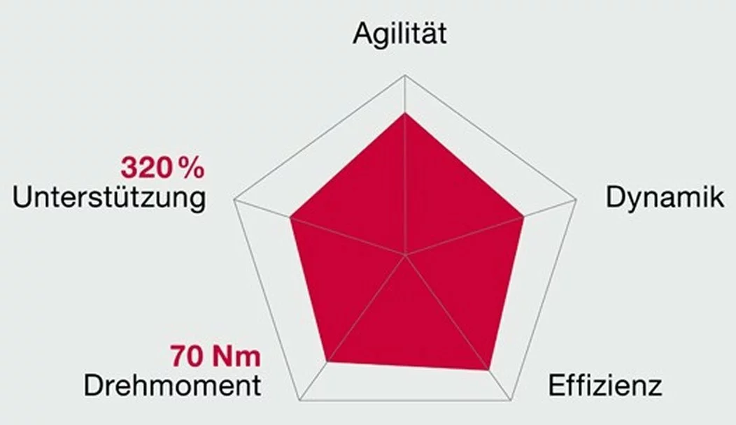 Brose Motor 250 Watt Drive-T Mag Ab 2020 (neu) 4 Brose Motor 250 Watt Drive-T Mag Ab 2020 (neu) – Bild 4