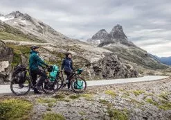 ORTLIEB Back-Roller Free QL2.1 -Fahrradzubehör Verkäufe Free Bild2