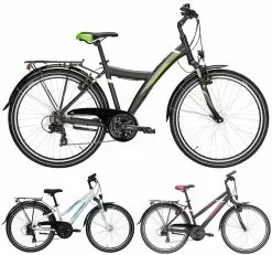 Pegasus Avanti 2019 21-Gang