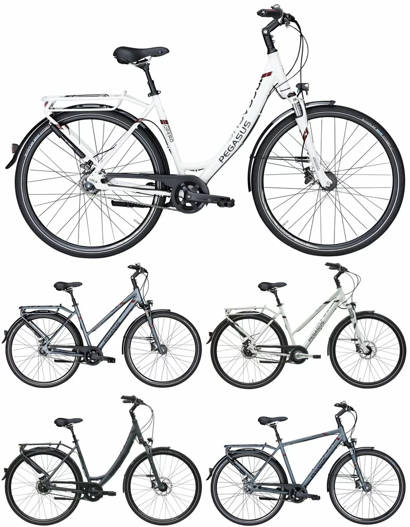 Pegasus Opero SL 2017 8-Gang 1 Pegasus Opero SL 2017 8-Gang