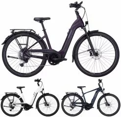 Pegasus Premio-Evo-11 "40 Years" 750 2022