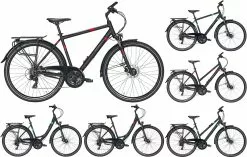 Pegasus Solero-Disc 2020/2021 24-Gang